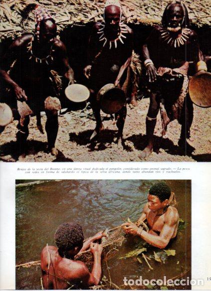 Livros em segunda m&atilde;o: LAMINA V53731: Brujos de la secta del Bwame y pesca con redes forma de salabardo