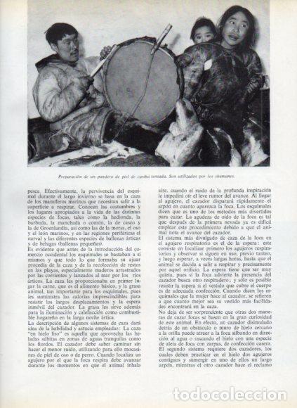 Livros em segunda m&atilde;o: LAMINA V53748: Preparacion de un pandero de piel de caribu