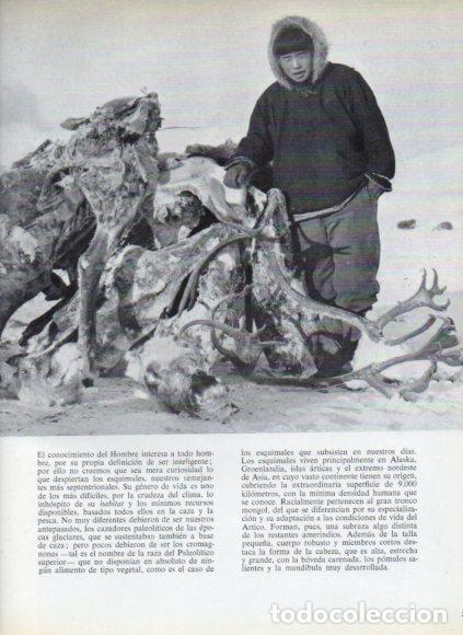 Livres: LAMINA V53747: Caribues congelados
