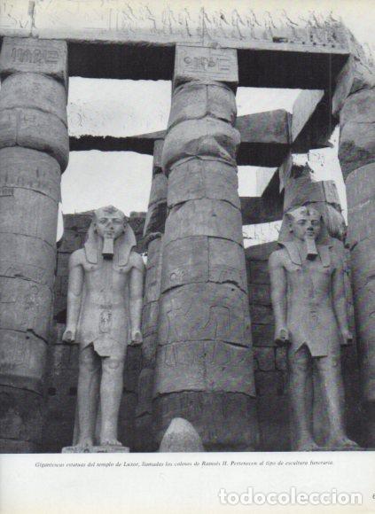 Livres: LAMINA V53751: Colosos de Ramses II, templo de Luxor
