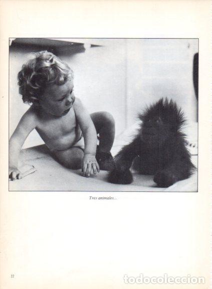 books: LAMINA V53659: Bebe junto a un bebe primate. Foto Agip