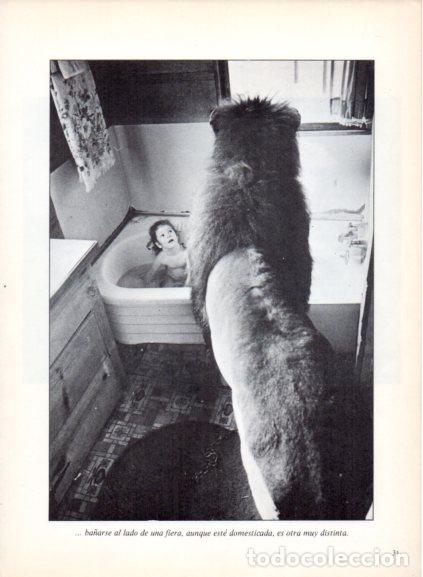 Libros: LAMINA V53664: Ni&ntilde;a en ba&ntilde;era junto a una fiera. Foto Three Lions