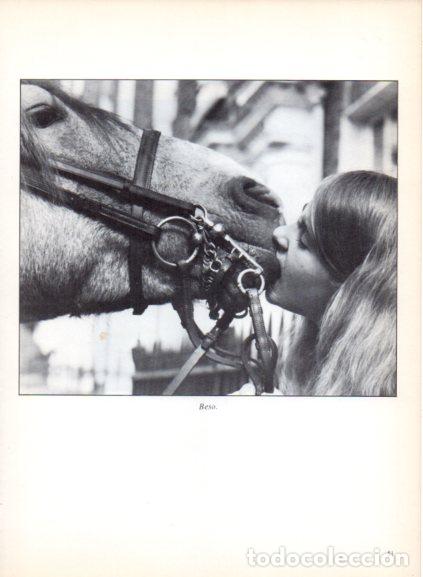 Libros: LAMINA V53674: Caballo y mujer besandose. Foto Keystone