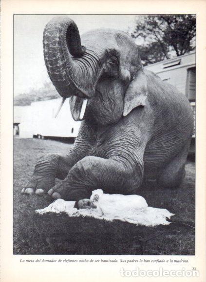 Livres: LAMINA V53665: Bebe junto a un elefante. Foto Keystone
