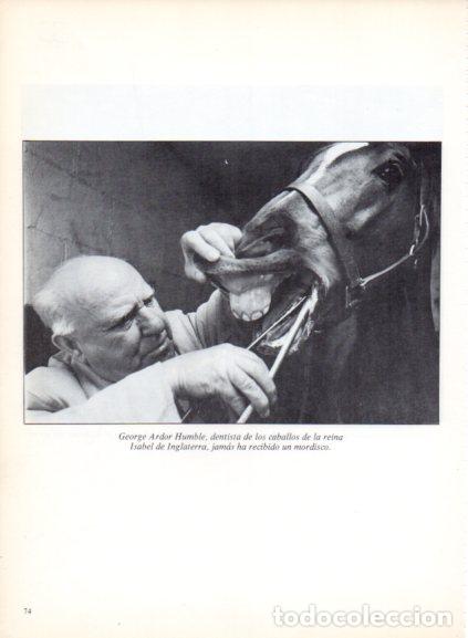 books: LAMINA V53685: George Ardor Humble dentista de caballos. Foto Keystone