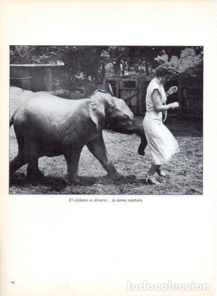 Libri di seconda mano: LAMINA V53695: Elefante empujando a una dama. Foto AFP