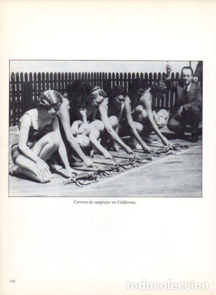 Livres: LAMINA V53705: Carrera de cangrejos en California. Foto Keystone