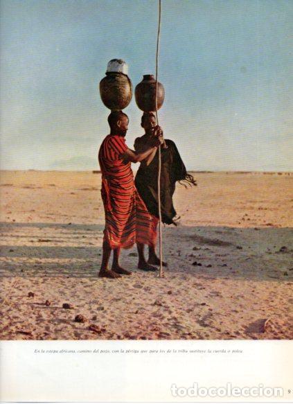 books: LAMINA V53730: Dos africanos en la estepa camino del pozo