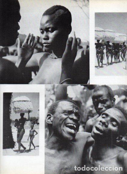 Libri di seconda mano: LAMINA V53735: Danza de iniciacion de muchachas en el Congo