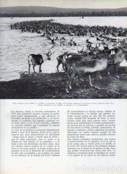 Libri di seconda mano: LAMINA V53745: Reba&ntilde;o de renos atravesando un lago