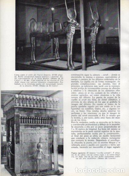Livres: LAMINA V53760: Cama XVIII dinastia representacion diosa Hathor y Caja visceras Tutankamon