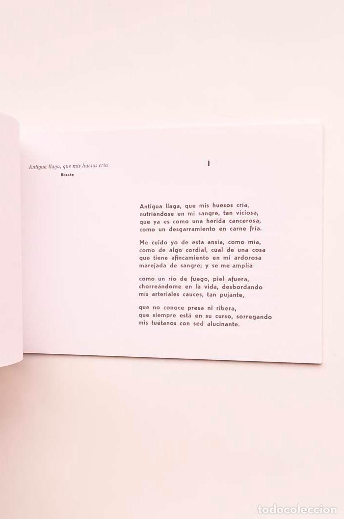 Libros: A modo de glosa - S&Aacute;NCHEZ BAUTISTA, Francisco - Foto 4