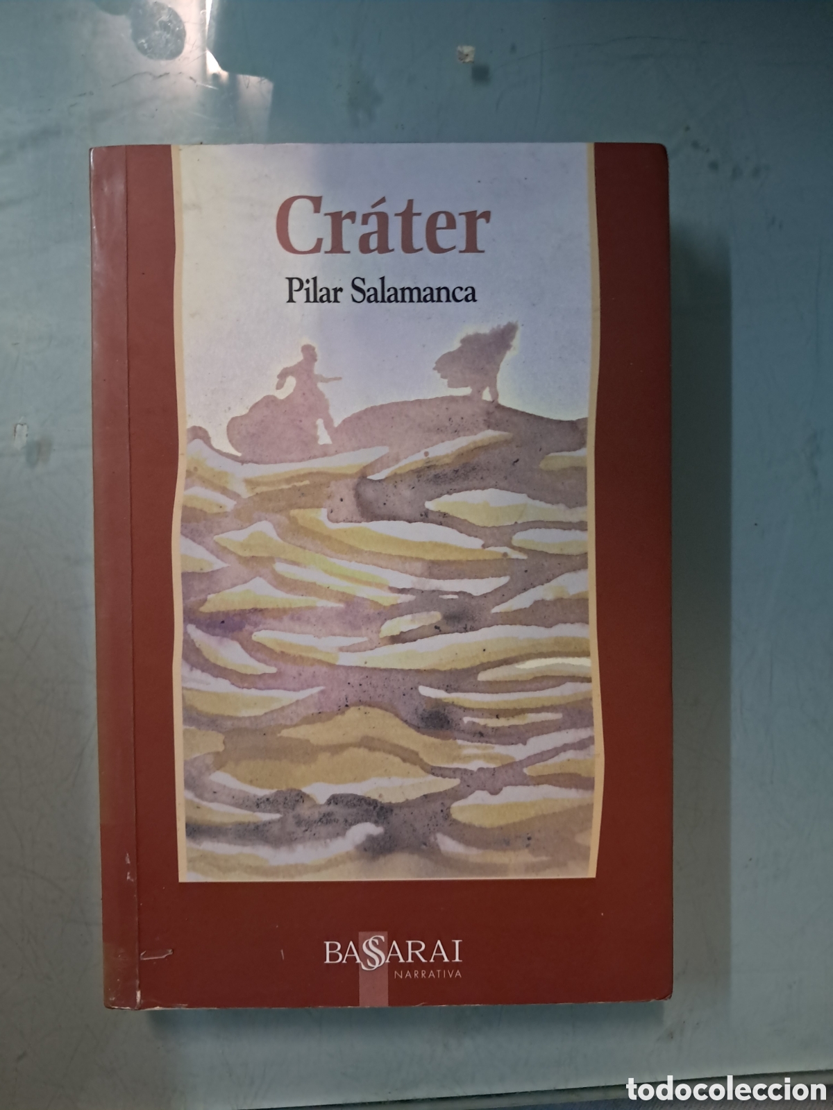 Libros: Pilar Salamanca,Cr&aacute;ter, Basarai