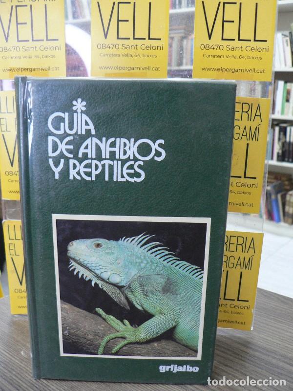 B&uuml;cher: Gu&iacute;a de Anfibios y Reptiles - Massimo Capula - Grijalbo - Gu&iacute;as de la Naturaleza