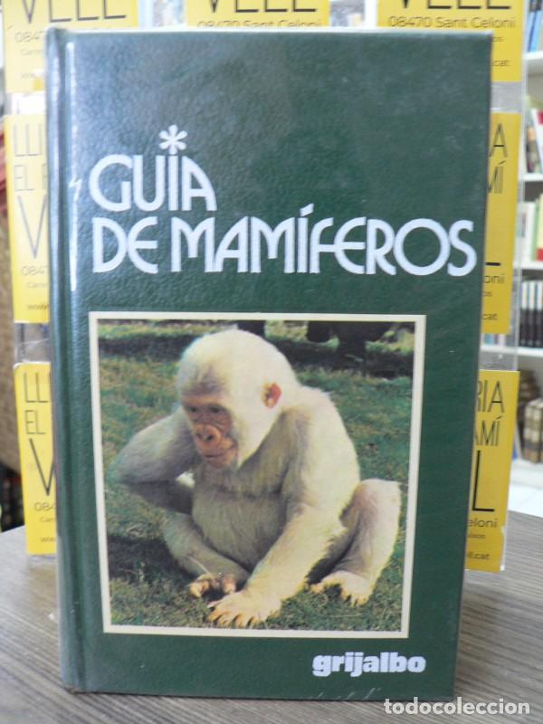 Libri di seconda mano: Gu&iacute;a de Mam&iacute;feros - Luigi Baitini - Grijalbo - Gu&iacute;as de la Naturaleza