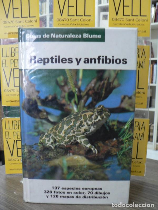 Libri di seconda mano: Reptiles y Anfibios - Diesener, Gunter - Naturart - Gu&iacute;as de Naturaleza Blume, 2065