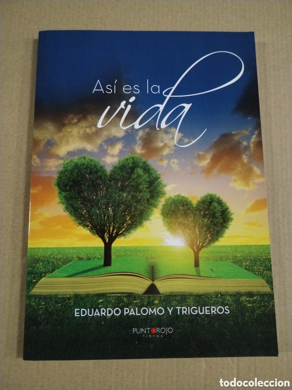 Libri di seconda mano: ASI ES LA VIDA. Eduardo Palomo y Trigueros. CL