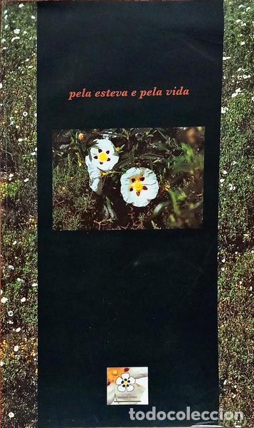 B&uuml;cher: GOMES. (Agostinho) e Raul Santos. - PELA ESTEVA E PELA VIDA.