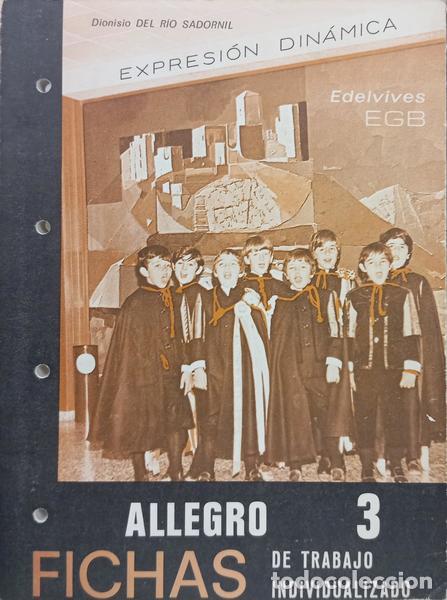 books: RIO SADORNIL. (Dionisio Del) - FICHAS DE TRABAJO INDIVIDUALIZADO.
