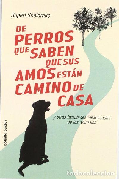 Libros: De perros que saben que sus amos est&aacute;n camino de casa- 9788449319792