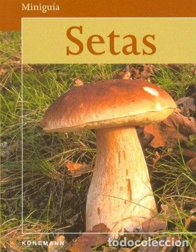 B&uuml;cher: Setas. Minigu&iacute;a- 9783833118104