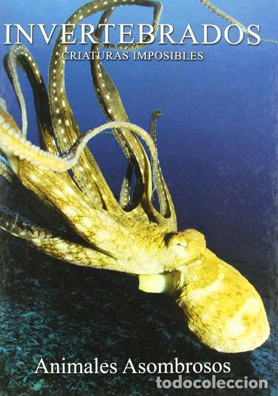 B&uuml;cher: Invertebrados: criaturas imposibles- 9788449218590