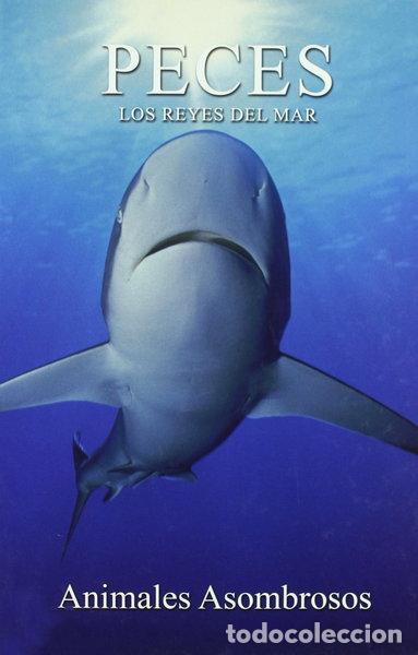 B&uuml;cher: Peces: los reyes del mar- 9788449218538
