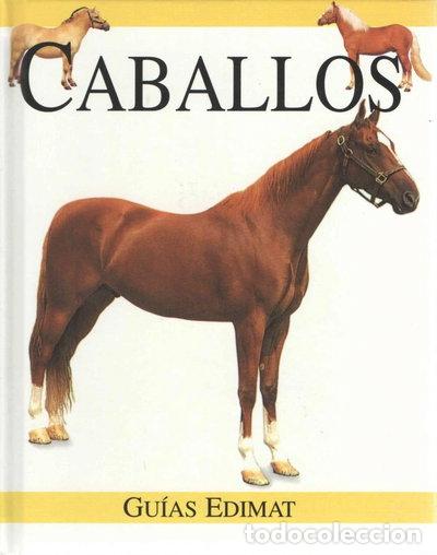 Libros: Caballos- 9788484030041