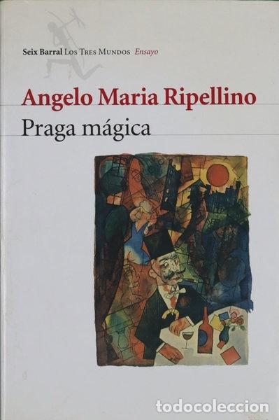 B&uuml;cher: Praga m&aacute;gica- 9788432208713