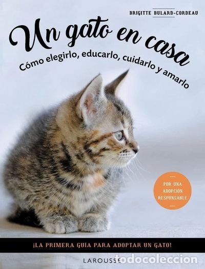 Libros: Un gato en casa- 9788419436092