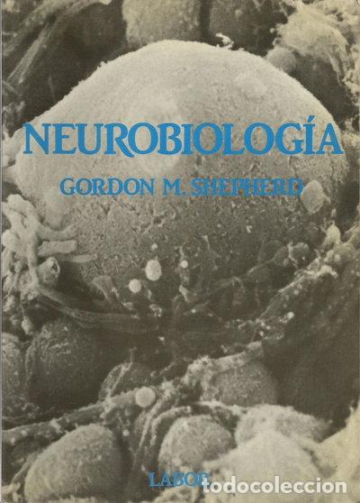 Livros em segunda m&atilde;o: Neurobiolog&iacute;a- 9788433566409