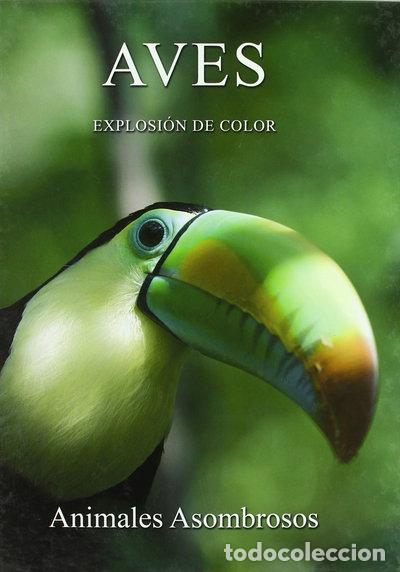 Libros: Aves: explosi&oacute;n de color- 9788449218569