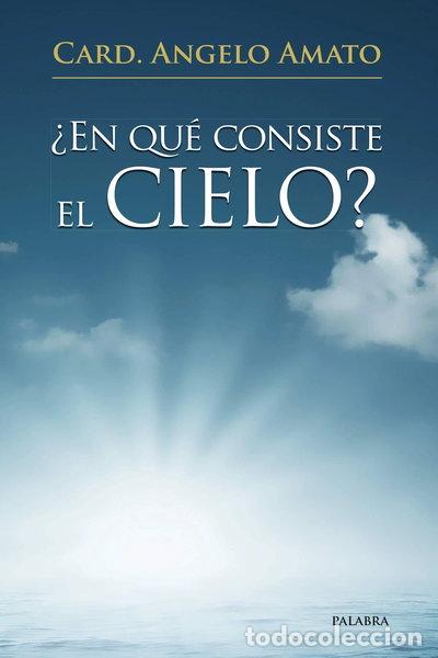 Libros: &iquest;En qu&eacute; consiste el Cielo?- 9788498408744