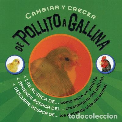 Libros: Cambiar y crecer: De pollito a gallina- 9781407570617