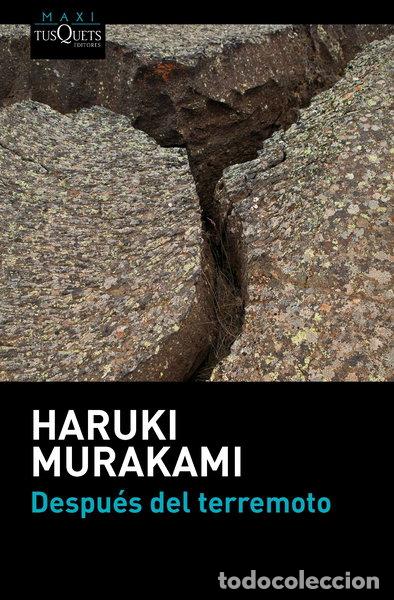 Libros: Despu&eacute;s del terremoto- 9788483838891