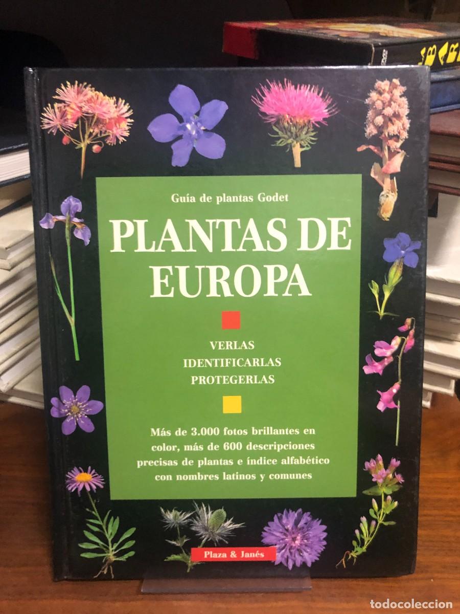 Libros: Plantas de Europa (Gu&iacute;a de plantas Godet) Gu&iacute;a de plantas Godet / Plaza & Jan&eacute;s
