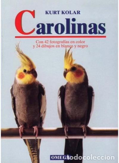 Libros: Carolinas- 9788428211055