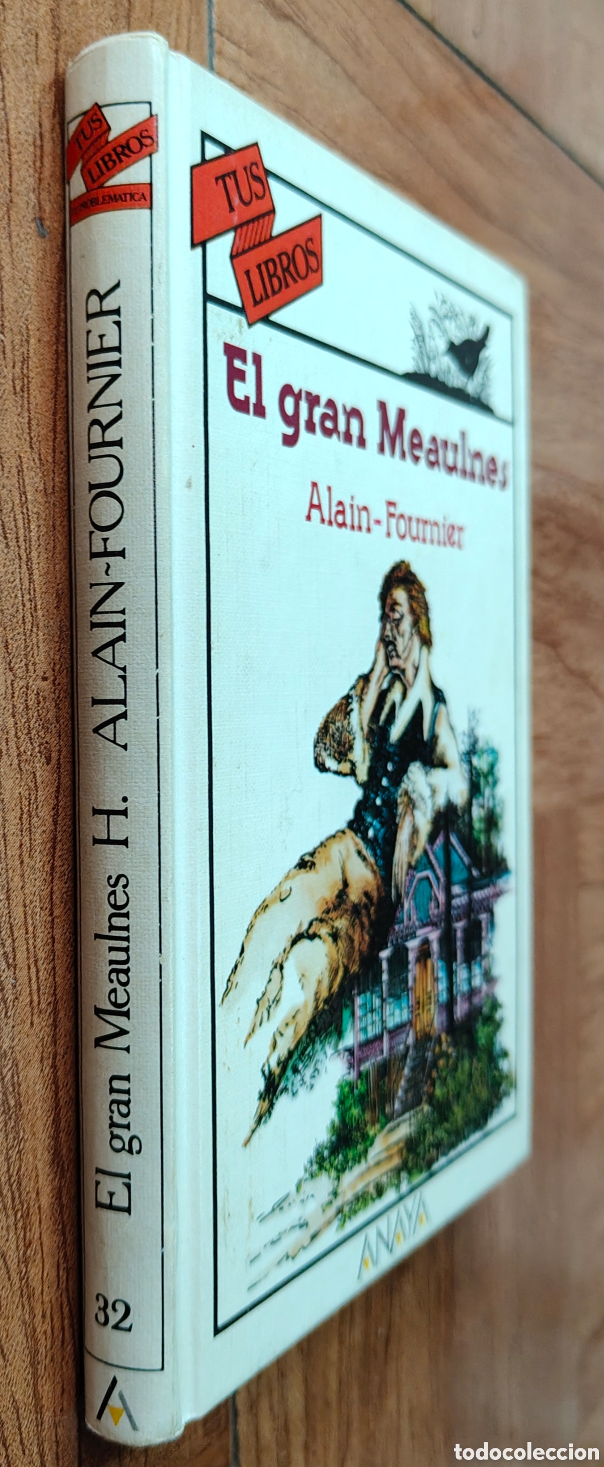 B&uuml;cher: El Gran Meaulnes � Anaya - Alain-Fournier