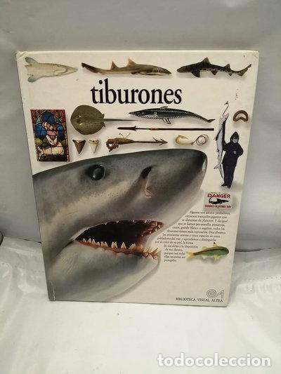 Libros: Tiburones- 9788437237701 - Foto 1