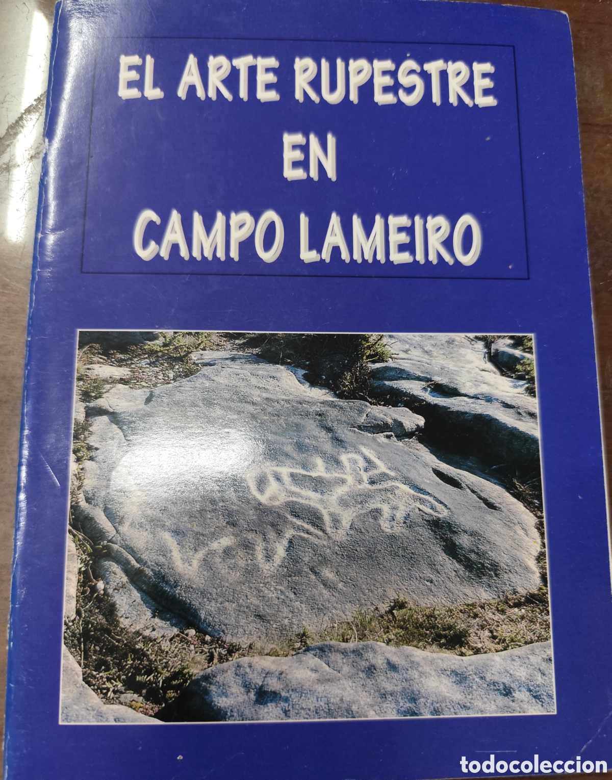 books: EL ARTE RUPESTRE EN CAMPO LAMEIRO. Dedicatoria autografa del autor. 1&ordf; Edici&oacute;n. Galicia - PE&Ntilde;A SANTO