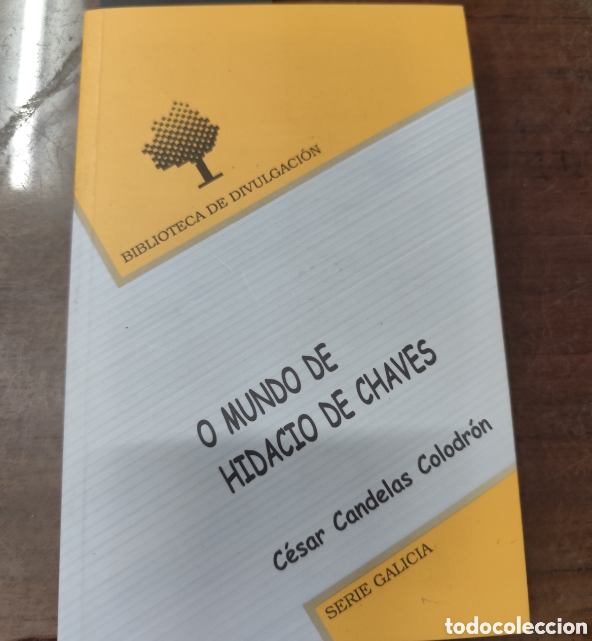Livres: O MUNDO DE HIDACIO DE CHAVES. Serie Galicia - CANDELAS COLODRON,C&eacute;sar