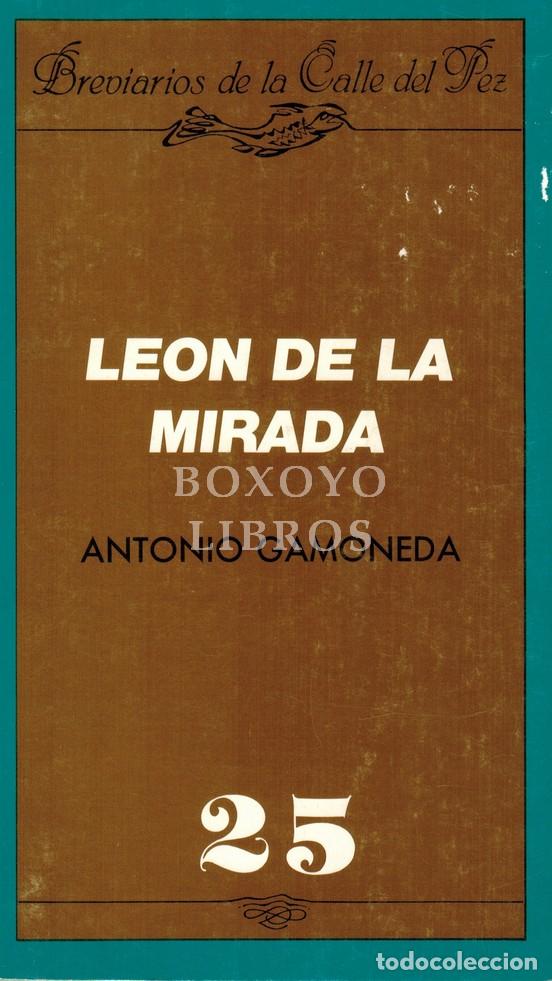 Livros em segunda m&atilde;o: GAMONEDA, Antonio. Le&oacute;n de la mirada