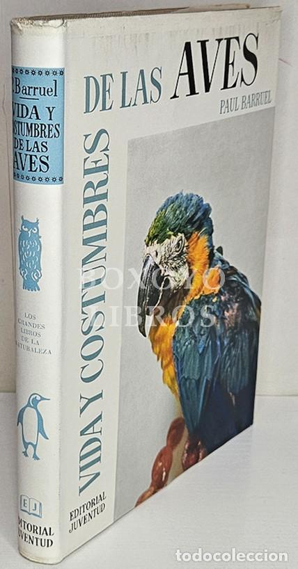 Livres: BARRUEL, Paul. Vida y costumbres de las aves. Traducci&oacute;n de Montserrat Bassedas Ard&eacute;vol. Con 50 dibu