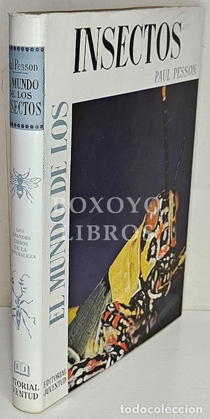 Livres: PESSON, Paul. El mundo de los insectos. Traducci&oacute;n de Monserrat Bassedas Ard&eacute;vol. Con dibujos, 80 l&aacute;