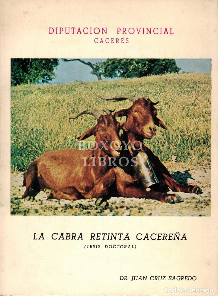 Livres: CRUZ SAGREDO, Juan. La cabra retinta cacere&ntilde;a (Tesis doctoral)