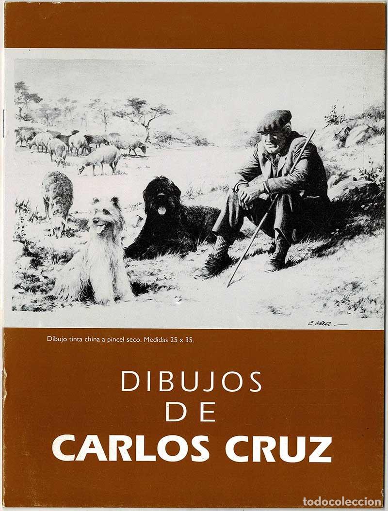 Libros: Dibujos de Carlos Cruz. Exposici&oacute;n, 1990. Galer&iacute;a Benedito