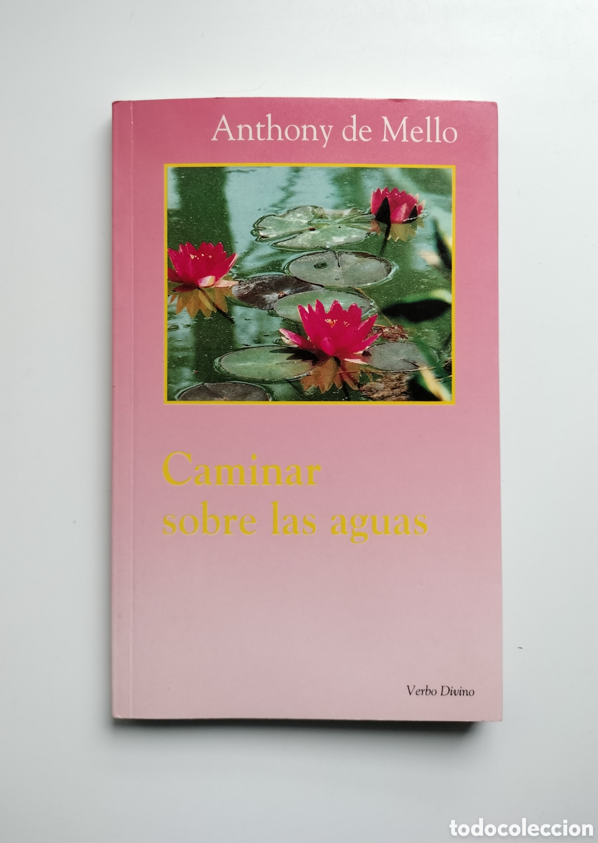 Libros: CAMINAR SOBRE LAS AGUAS. ANTHONY DE MELLO. VERBO DIVINO.