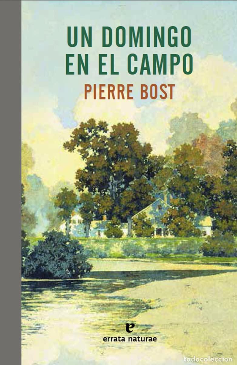 Libros: Un domingo en el campo (El Pasaje de los Panoramas)