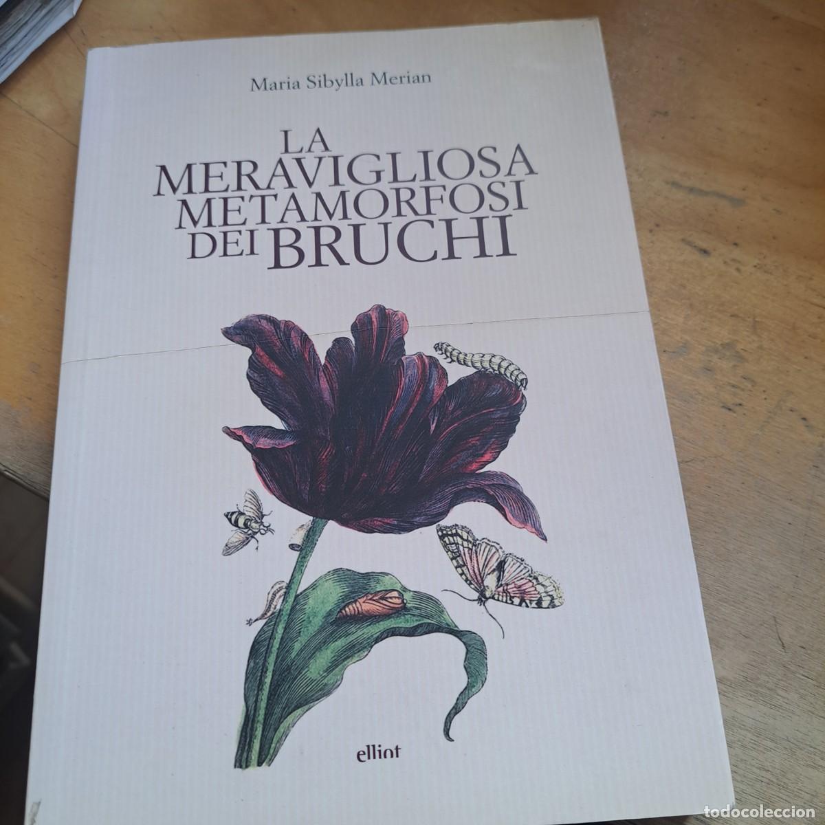 Libros: La meravigliosa metamorfosi dei bruchi Maria Sibylla Merian Publicado por Elliot, 2015 MUY BUEN EST