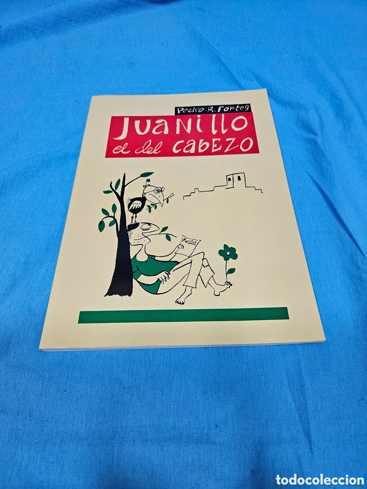 Libros: JUANILLO EL DEL CABEZO. PEDRO RUIZ FORTES